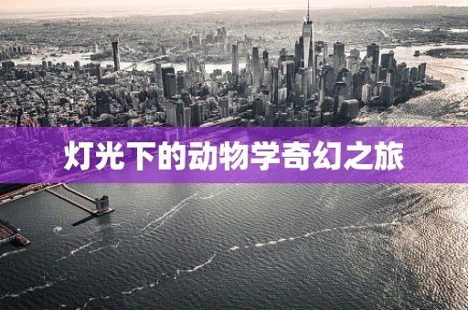 灯光下的动物学奇幻之旅