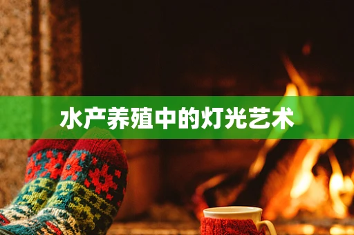 水产养殖中的灯光艺术