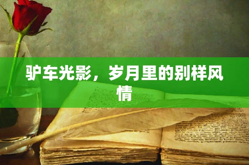驴车光影，岁月里的别样风情