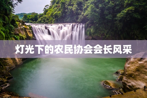 灯光下的农民协会会长风采