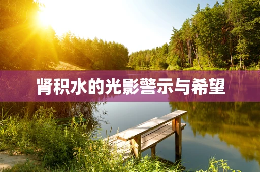 肾积水的光影警示与希望