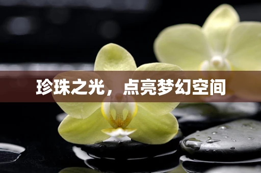 珍珠之光，点亮梦幻空间