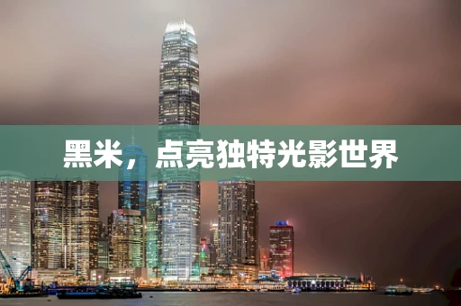 黑米，点亮独特光影世界