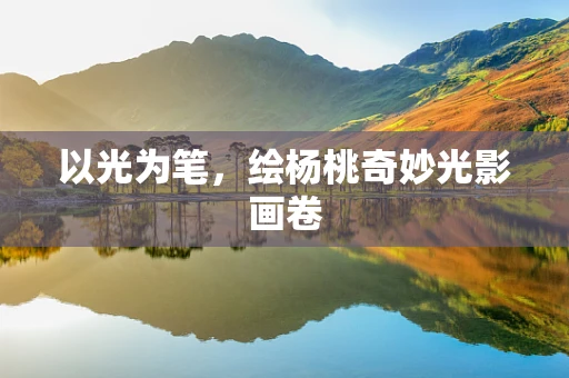 以光为笔，绘杨桃奇妙光影画卷