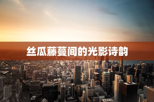 丝瓜藤蔓间的光影诗韵