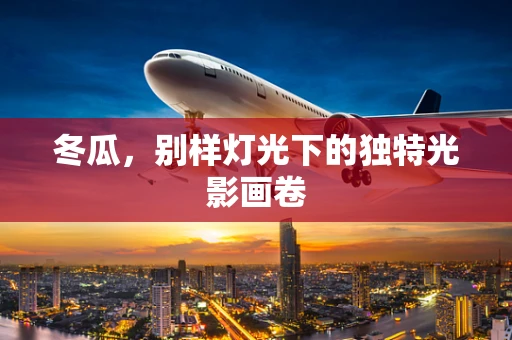 冬瓜，别样灯光下的独特光影画卷