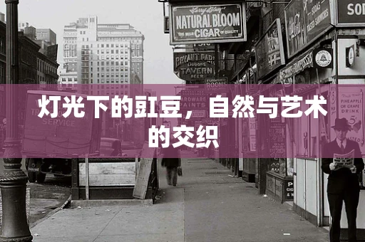 灯光下的豇豆，自然与艺术的交织