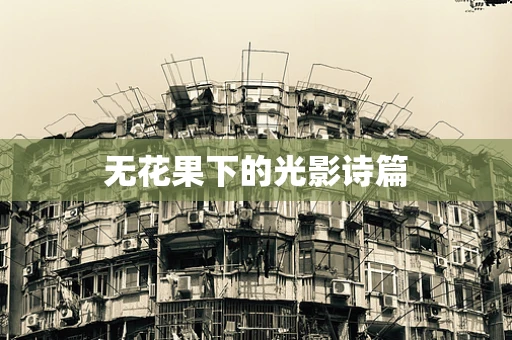 无花果下的光影诗篇