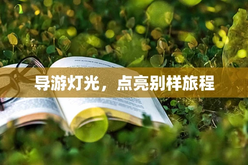 导游灯光，点亮别样旅程