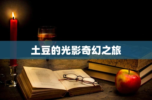 土豆的光影奇幻之旅