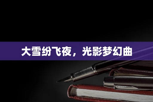 大雪纷飞夜，光影梦幻曲