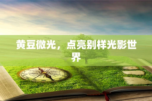 黄豆微光，点亮别样光影世界