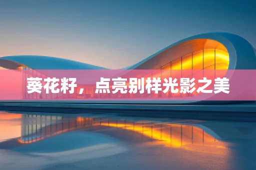 葵花籽，点亮别样光影之美