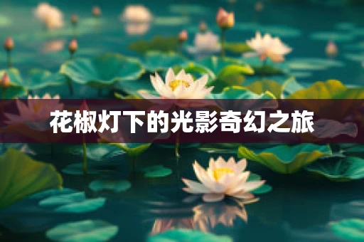 花椒灯下的光影奇幻之旅