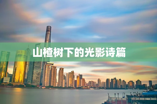山楂树下的光影诗篇