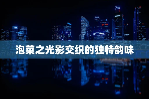 泡菜之光影交织的独特韵味