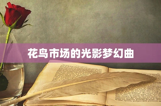 花鸟市场的光影梦幻曲