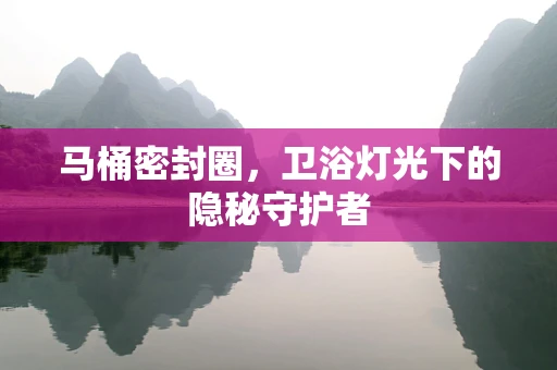 马桶密封圈，卫浴灯光下的隐秘守护者