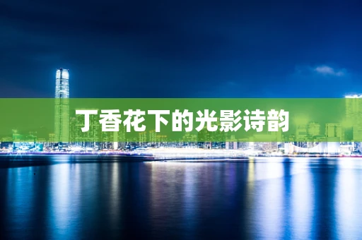 丁香花下的光影诗韵