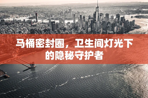 马桶密封圈，卫生间灯光下的隐秘守护者