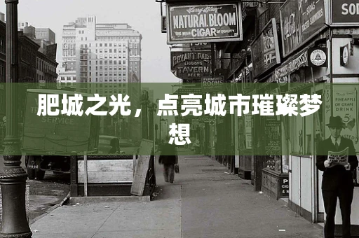 肥城之光，点亮城市璀璨梦想