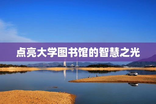 点亮大学图书馆的智慧之光