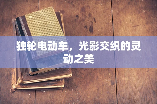 独轮电动车，光影交织的灵动之美