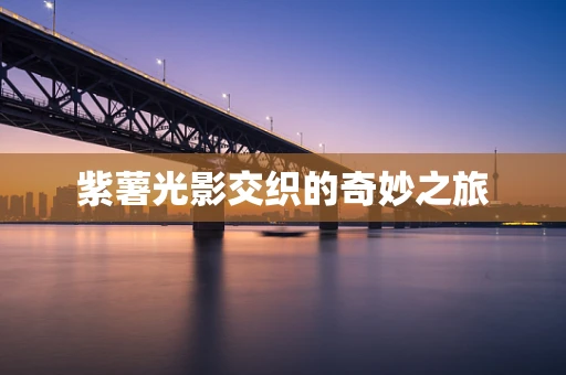 紫薯光影交织的奇妙之旅
