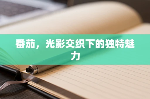 番茄，光影交织下的独特魅力