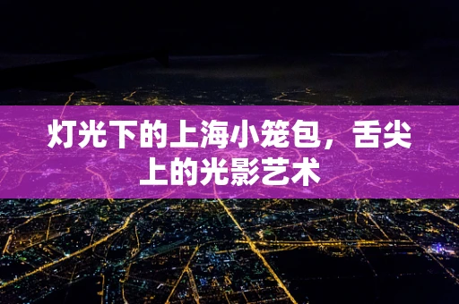 灯光下的上海小笼包，舌尖上的光影艺术