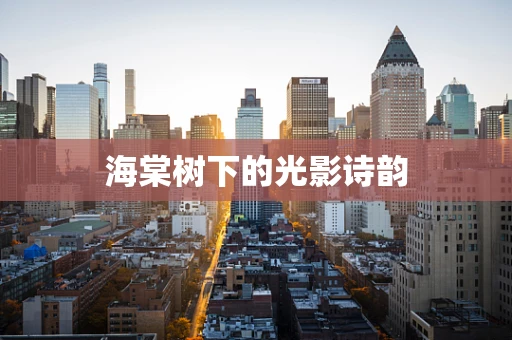 海棠树下的光影诗韵