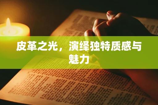 皮革之光，演绎独特质感与魅力