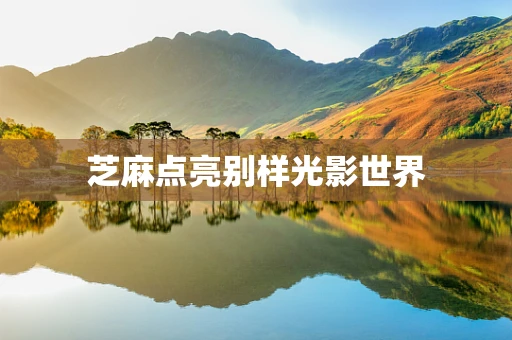 芝麻点亮别样光影世界