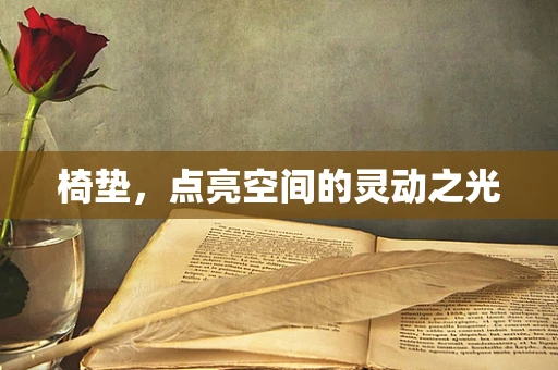 椅垫，点亮空间的灵动之光