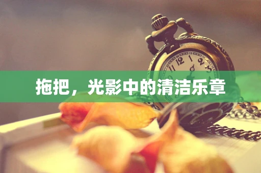 拖把，光影中的清洁乐章