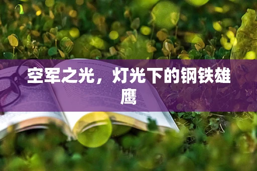 空军之光，灯光下的钢铁雄鹰