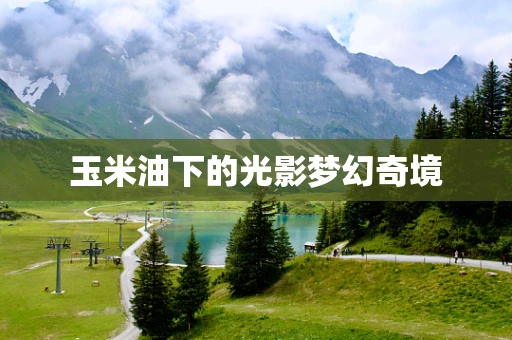 玉米油下的光影梦幻奇境