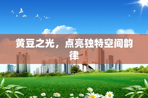 黄豆之光，点亮独特空间韵律