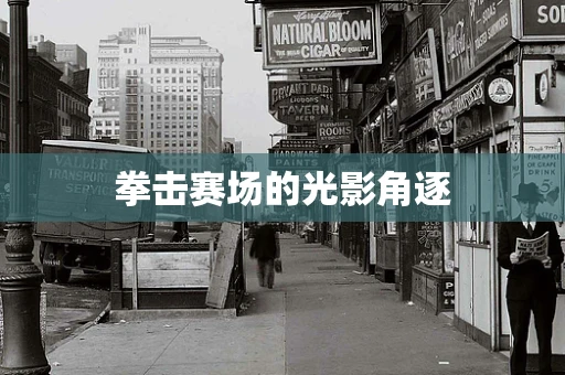 拳击赛场的光影角逐