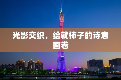光影交织，绘就柿子的诗意画卷