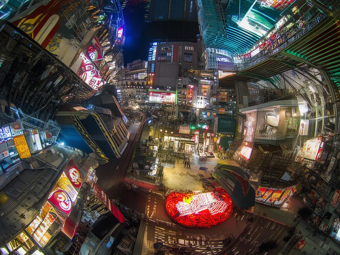 光影交织下的钱包魅力