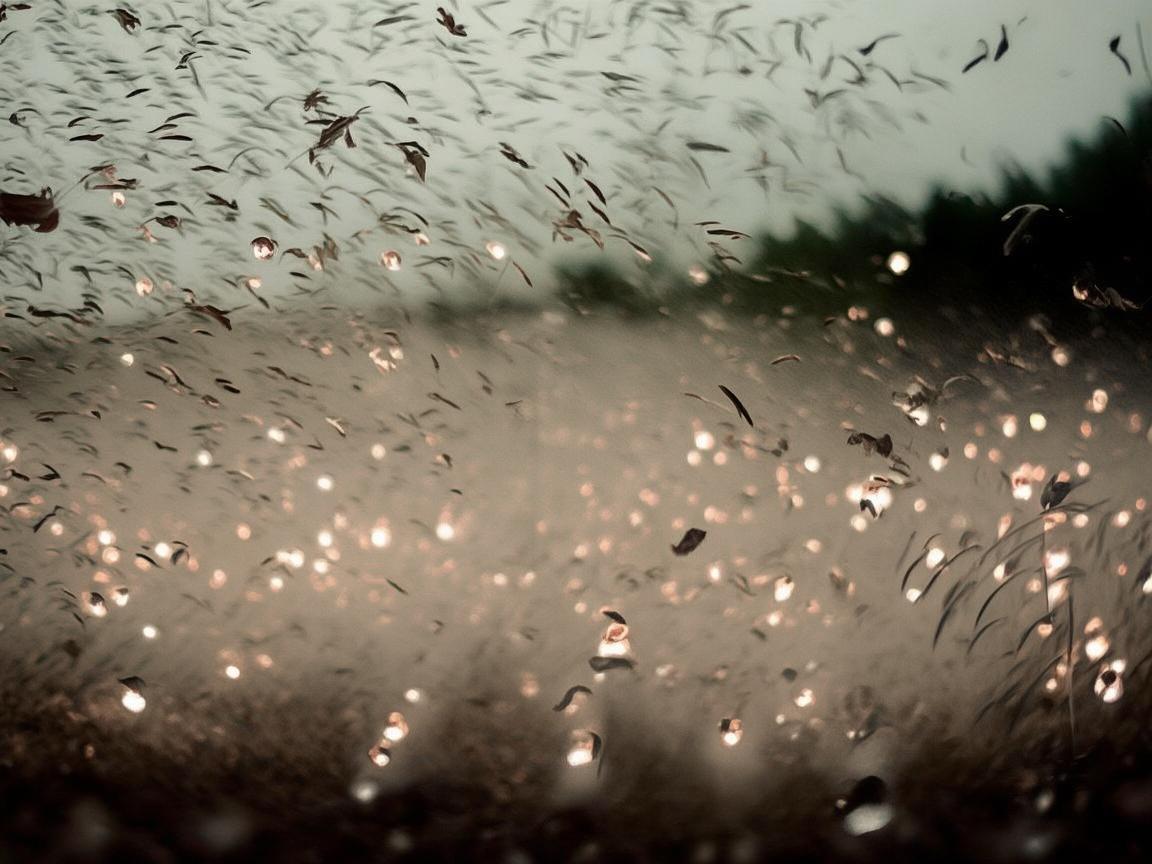 大风中的灯光艺术，飘摇与坚守