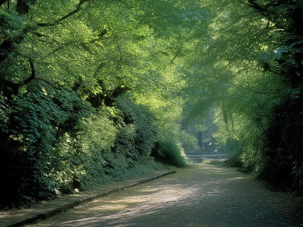 旅行中的光影诗篇